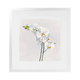 Shop White Orchid Stems (Square) Art Print-Botanicals, Florals, Hamptons, Neutrals, Square, View All, White-framed painted poster wall decor artwork