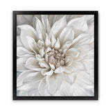 Shop White Dahlia (Square) Art Print-Botanicals, Florals, Square, View All, White-framed painted poster wall decor artwork