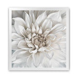 Shop White Dahlia (Square) Art Print-Botanicals, Florals, Square, View All, White-framed painted poster wall decor artwork
