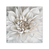 Shop White Dahlia (Square) Canvas Art Print-Botanicals, Florals, Square, View All, White-framed wall decor artwork