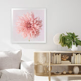Shop Pink Dahlia (Square) Art Print-Botanicals, Florals, Hamptons, Pink, Square, View All-framed painted poster wall decor artwork