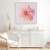 Shop Pink Dahlia (Square) Canvas Art Print-Botanicals, Florals, Hamptons, Pink, Square, View All-framed wall decor artwork