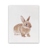 Shop Baby Rabbit Art Print-Animals, Baby Nursery, Brown, Neutrals, Photography, Portrait, View All-framed painted poster wall decor artwork
