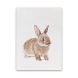 Shop Baby Rabbit Canvas Art Print-Animals, Baby Nursery, Brown, Neutrals, Photography, Photography Canvas Prints, Portrait, View All-framed wall decor artwork