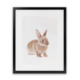 Shop Baby Rabbit Art Print-Animals, Baby Nursery, Brown, Neutrals, Photography, Portrait, View All-framed painted poster wall decor artwork
