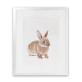 Shop Baby Rabbit Art Print-Animals, Baby Nursery, Brown, Neutrals, Photography, Portrait, View All-framed painted poster wall decor artwork