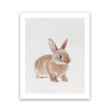Shop Baby Rabbit Art Print-Animals, Baby Nursery, Brown, Neutrals, Photography, Portrait, View All-framed painted poster wall decor artwork