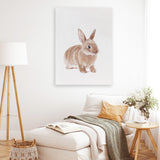 Shop Baby Rabbit Canvas Art Print-Animals, Baby Nursery, Brown, Neutrals, Photography, Photography Canvas Prints, Portrait, View All-framed wall decor artwork