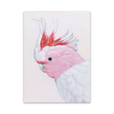Shop Matilda The Major Mitchell Cockatoo Canvas Art Print-Animals, Birds, Pink, Portrait, Rectangle, View All-framed wall decor artwork