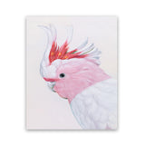 Shop Matilda The Major Mitchell Cockatoo Art Print-Animals, Birds, Pink, Portrait, Rectangle, View All-framed painted poster wall decor artwork
