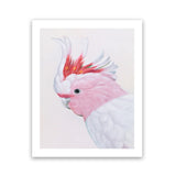 Shop Matilda The Major Mitchell Cockatoo Art Print-Animals, Birds, Pink, Portrait, Rectangle, View All-framed painted poster wall decor artwork
