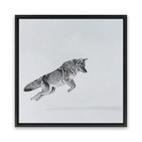 Shop Snow Fox (Square) Canvas Art Print-Animals, Baby Nursery, Grey, Neutrals, Scandinavian, Square, View All-framed wall decor artwork