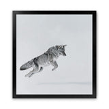 Shop Snow Fox (Square) Art Print-Animals, Baby Nursery, Grey, Neutrals, Scandinavian, Square, View All-framed painted poster wall decor artwork