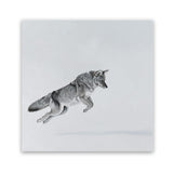 Shop Snow Fox (Square) Art Print-Animals, Baby Nursery, Grey, Neutrals, Scandinavian, Square, View All-framed painted poster wall decor artwork