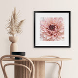 Shop Divine Dahlia (Square) Art Print-Botanicals, Florals, Hamptons, Pink, Square, View All-framed painted poster wall decor artwork