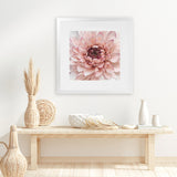 Shop Divine Dahlia (Square) Art Print-Botanicals, Florals, Hamptons, Pink, Square, View All-framed painted poster wall decor artwork