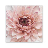 Shop Divine Dahlia (Square) Art Print-Botanicals, Florals, Hamptons, Pink, Square, View All-framed painted poster wall decor artwork