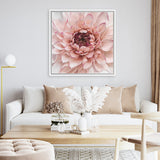 Shop Divine Dahlia (Square) Canvas Art Print-Botanicals, Florals, Hamptons, Pink, Square, View All-framed wall decor artwork