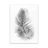 Shop Feather Canvas Art Print-Birds, Grey, Portrait, Rectangle, Scandinavian, View All, White-framed wall decor artwork