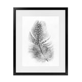 Shop Feather Art Print-Birds, Grey, Portrait, Rectangle, Scandinavian, View All, White-framed painted poster wall decor artwork