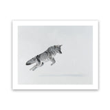 Shop Snow Fox Art Print-Animals, Grey, Horizontal, Landscape, Neutrals, Rectangle, Scandinavian, View All-framed painted poster wall decor artwork