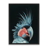 Shop Frankie The Palm Cockatoo Canvas Art Print-Animals, Baby Nursery, Birds, Black, Blue, Portrait, Rectangle, View All-framed wall decor artwork