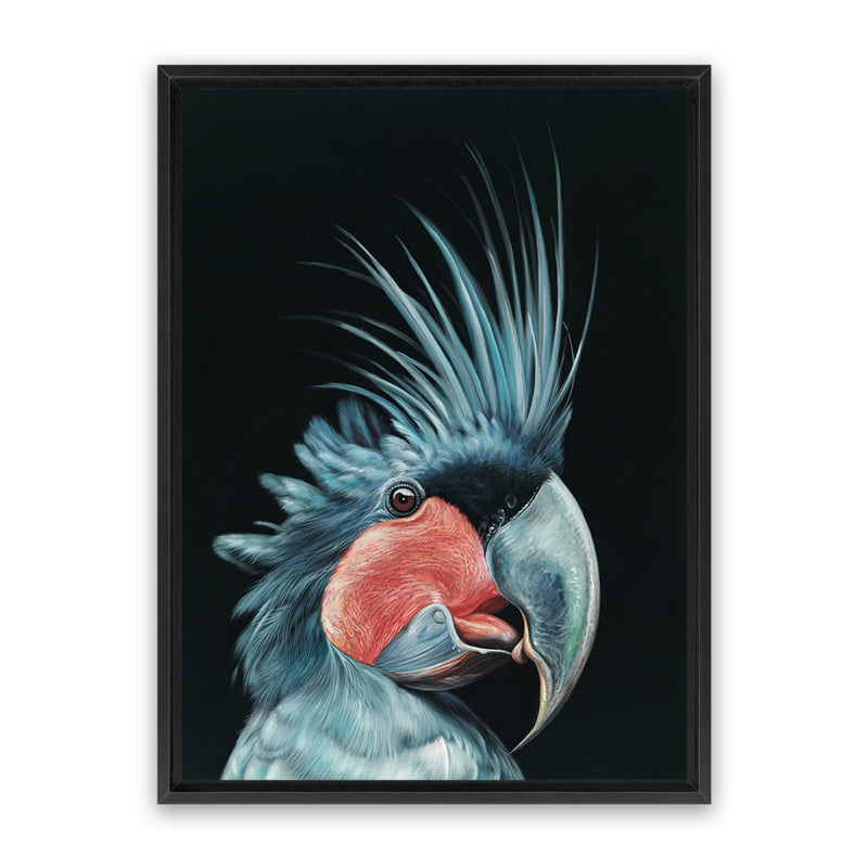 Shop Frankie The Palm Cockatoo Canvas Art Print-Animals, Baby Nursery, Birds, Black, Blue, Portrait, Rectangle, View All-framed wall decor artwork