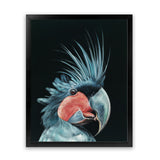 Shop Frankie The Palm Cockatoo Art Print-Animals, Baby Nursery, Birds, Black, Blue, Portrait, Rectangle, View All-framed painted poster wall decor artwork