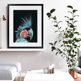 Shop Frankie The Palm Cockatoo Art Print-Animals, Baby Nursery, Birds, Black, Blue, Portrait, Rectangle, View All-framed painted poster wall decor artwork