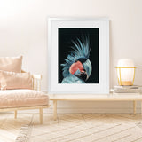 Shop Frankie The Palm Cockatoo Art Print-Animals, Baby Nursery, Birds, Black, Blue, Portrait, Rectangle, View All-framed painted poster wall decor artwork