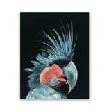 Shop Frankie The Palm Cockatoo Art Print-Animals, Baby Nursery, Birds, Black, Blue, Portrait, Rectangle, View All-framed painted poster wall decor artwork