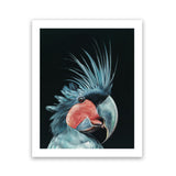 Shop Frankie The Palm Cockatoo Art Print-Animals, Baby Nursery, Birds, Black, Blue, Portrait, Rectangle, View All-framed painted poster wall decor artwork