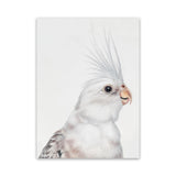 Shop Pia The White Cockatiel Canvas Art Print-Animals, Baby Nursery, Birds, Portrait, Rectangle, Scandinavian, View All, White-framed wall decor artwork