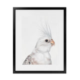 Shop Pia The White Cockatiel Art Print-Animals, Baby Nursery, Birds, Portrait, Rectangle, Scandinavian, View All, White-framed painted poster wall decor artwork