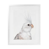 Shop Pia The White Cockatiel Art Print-Animals, Baby Nursery, Birds, Portrait, Rectangle, Scandinavian, View All, White-framed painted poster wall decor artwork