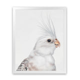 Shop Pia The White Cockatiel Art Print-Animals, Baby Nursery, Birds, Portrait, Rectangle, Scandinavian, View All, White-framed painted poster wall decor artwork