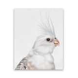Shop Pia The White Cockatiel Art Print-Animals, Baby Nursery, Birds, Portrait, Rectangle, Scandinavian, View All, White-framed painted poster wall decor artwork