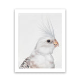 Shop Pia The White Cockatiel Art Print-Animals, Baby Nursery, Birds, Portrait, Rectangle, Scandinavian, View All, White-framed painted poster wall decor artwork