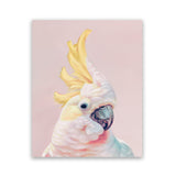 Shop Charlie The Cockatoo (Pink) Art Print-Animals, Baby Nursery, Birds, Pink, Portrait, Tropical, View All, Yellow-framed painted poster wall decor artwork