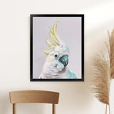 Shop Charlie The Cockatoo (Ice) Art Print-Animals, Baby Nursery, Birds, Pink, Portrait, Tropical, View All, White, Yellow-framed painted poster wall decor artwork