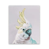 Shop Charlie The Cockatoo (Ice) Art Print-Animals, Baby Nursery, Birds, Pink, Portrait, Tropical, View All, White, Yellow-framed painted poster wall decor artwork