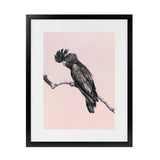 Shop George The Black Cockatoo (Pink) Art Print-Animals, Baby Nursery, Birds, Black, Pink, Portrait, Rectangle, View All-framed painted poster wall decor artwork