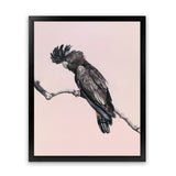 Shop George The Black Cockatoo (Pink) Art Print-Animals, Baby Nursery, Birds, Black, Pink, Portrait, Rectangle, View All-framed painted poster wall decor artwork