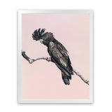 Shop George The Black Cockatoo (Pink) Art Print-Animals, Baby Nursery, Birds, Black, Pink, Portrait, Rectangle, View All-framed painted poster wall decor artwork