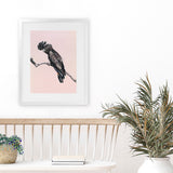 Shop George The Black Cockatoo (Pink) Art Print-Animals, Baby Nursery, Birds, Black, Pink, Portrait, Rectangle, View All-framed painted poster wall decor artwork