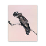 Shop George The Black Cockatoo (Pink) Art Print-Animals, Baby Nursery, Birds, Black, Pink, Portrait, Rectangle, View All-framed painted poster wall decor artwork