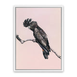 Shop George The Black Cockatoo (Pink) Canvas Art Print-Animals, Birds, Black, Pink, Portrait, Rectangle, View All-framed wall decor artwork