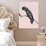 Shop George The Black Cockatoo (Pink) Canvas Art Print-Animals, Birds, Black, Pink, Portrait, Rectangle, View All-framed wall decor artwork