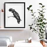 Shop George The Black Cockatoo (White) Art Print-Animals, Birds, Black, Portrait, Rectangle, View All, White-framed painted poster wall decor artwork