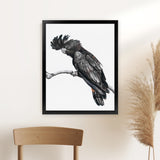 Shop George The Black Cockatoo (White) Art Print-Animals, Birds, Black, Portrait, Rectangle, View All, White-framed painted poster wall decor artwork
